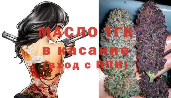 твердый Слюдянка