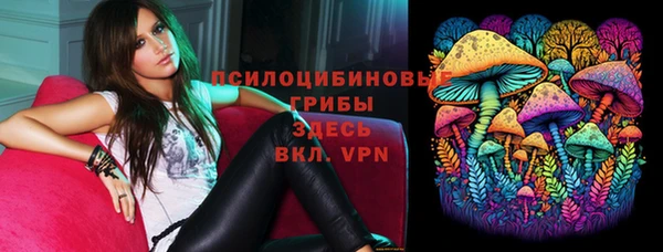 твердый Слюдянка
