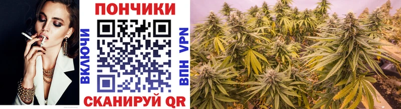 Канабис сатива  Кольчугино 
